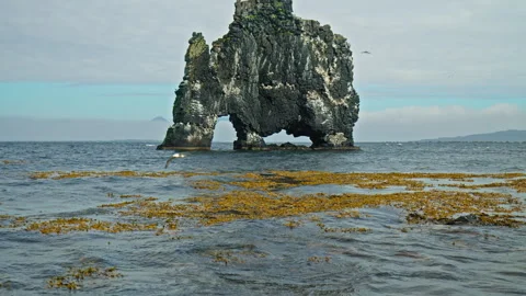 Dramatic ocean cliff in north Iceland with Hvítserkur rock formation. Stock Footage 293637827