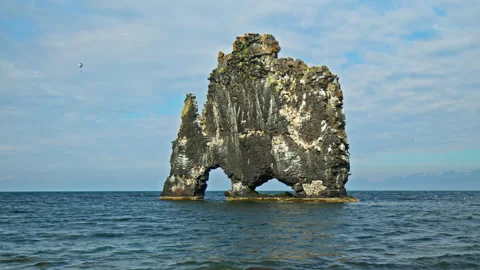 Dramatic ocean cliff in north Iceland with Hvítserkur rock formation. Stock Footage 293637898