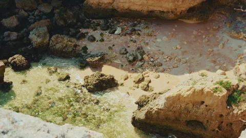 Dramatic ocean cliffs sea caves and tourist boats in Algarve Portugal Stock Footage 336728933