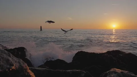 Dramatic ocean sunset. Burning sky and shining golden waves hit rocks. Sunset Stock Footage 145572403