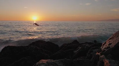 Dramatic ocean sunset. Burning sky and shining golden waves hit rocks. Sunset Stock Photos