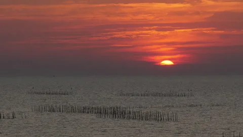 Dramatic Ocean Sunset Over Mussel or Oyster Farm Sticks 動画素材 323065930
