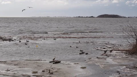 Dramatic Ocean Waves and Cloudy Sky Coastal Landscape Video stock 271201112