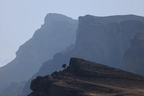 Dramatic Oman Mountain Landscape with Tree on Cliff Edge Stock Photos