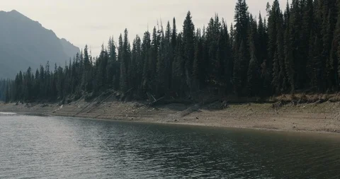 Dramatic opening aerial above pine trees and lake Stock Footage 105668597