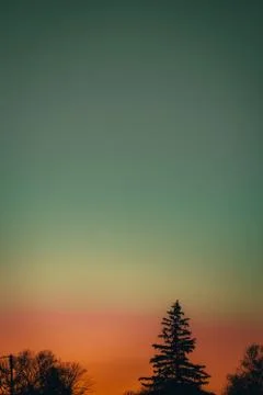 A Dramatic Orange and Blue Sky With Silhouette Trees at the Bottom of the Fra Stock Photos