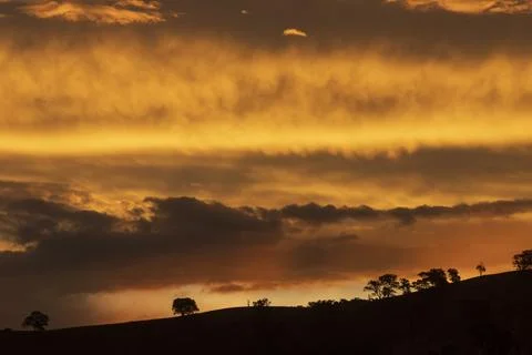 Dramatic orange layered clouds at sunset over a hill with trees Stock Photos