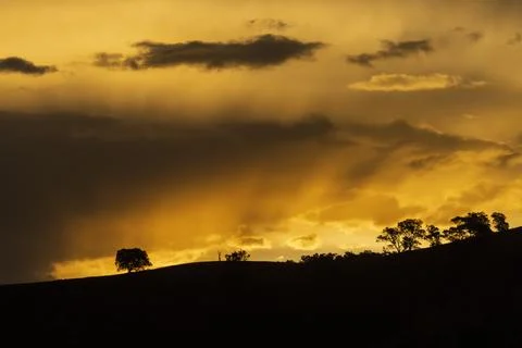 Dramatic orange layered clouds at sunset over a hill with trees Stock Photos