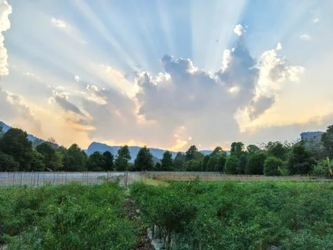 Dramatic orange sunset clouds along the planting farm in the evening light Stock Photos