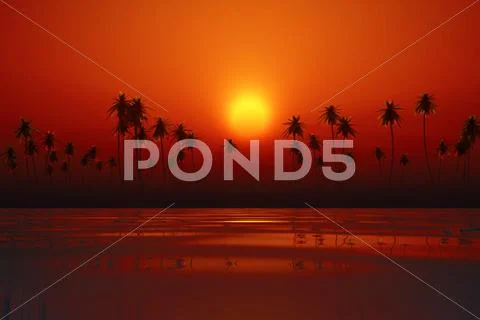 Dramatic orange sunset Stock Illustration