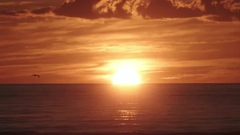 Dramatic orange sunset over the Sea Stock-Footage 138162369