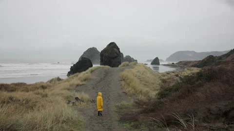 Dramatic Oregon coastline, covered with endemic greenery below foggy skyline Stock Footage 232732402