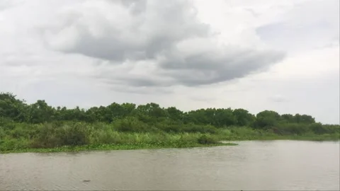 Dramatic Overcast Sky with Dark Storm Clouds Over Tropical Riverbank Stock Footage 342495055