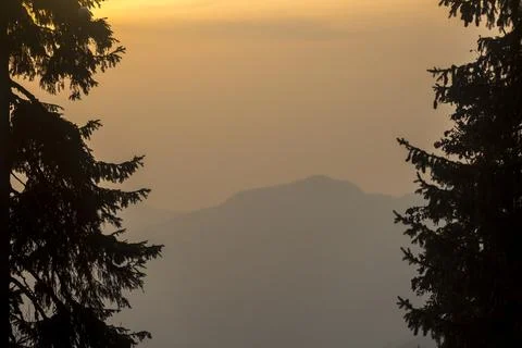 Dramatic overcast sky in the mountains, evening winter landscape with spruc.. Stock Photos
