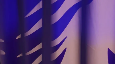Dramatic palm silhouette on curtain high contrast indigo lighting, deep shadows, Stock Footage 345200317