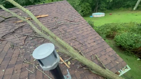 Dramatic Pan of a Dead Tree On Top of Roof of a House 3 Stock Footage 344776277