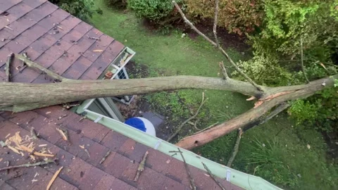 Dramatic Pan of a Dead Tree On Top of Roof of a House 2 Stock Footage 344776280