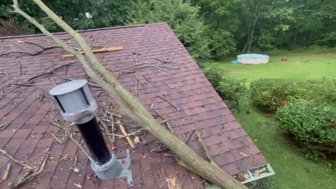 Dramatic Pan of a Dead Tree On Top of Roof of a House 库存影片 344776287