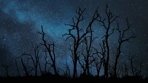 Dramatic Panorama with Dead Trees by Night, Time Lapse with Stars and Milky Way Stock Footage 202014158