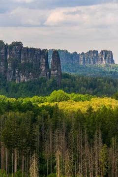 Dramatic panorama of Schrammsteine sandstone cliffs in Saxon Switzerland Nati 写真素材