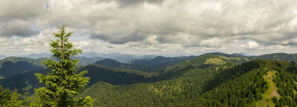 Dramatic panoramic landscape with dense spruce forests and rolling green hi.. Stock Photos