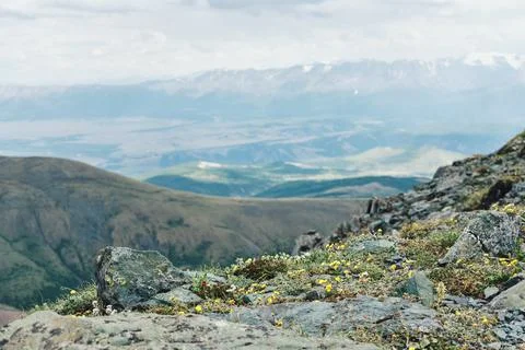 Dramatic panoramic landscape of rocky mountains among storm clouds. Blooming Foto stock