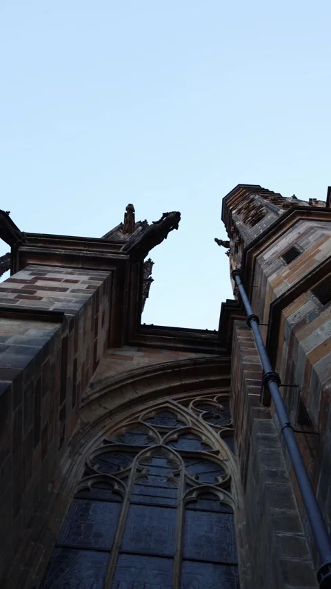A dramatic perspective of Gothic architecture with intricate gargoyles extending Stock Footage 294708526