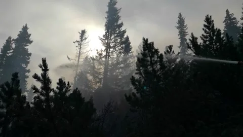Dramatic picture of a forest fire and a jet of water Stock Footage 162059997