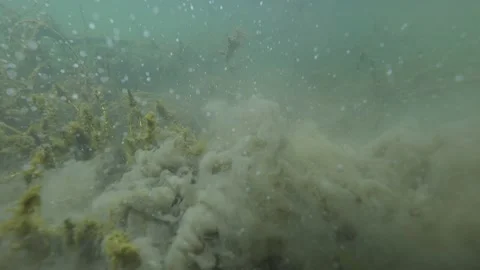Dramatic picture with underwater mud and bubbles at the bottom of a river Stock Footage 191912998