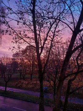 Dramatic Pink and Purple Sunset Sky Over Silhouetted Autumn Park Stock Photos