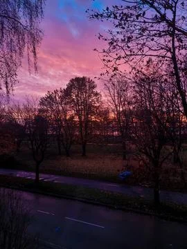 Dramatic Pink and Purple Sunset Sky Over Silhouetted Autumn Park Stock Photos