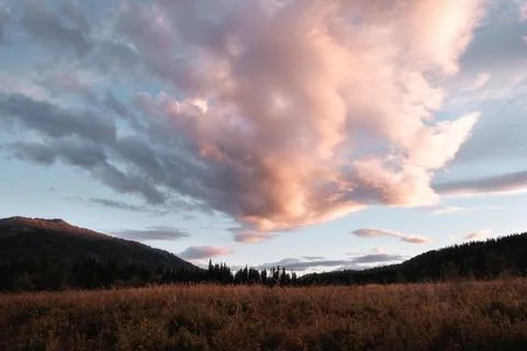 Dramatic pink sunset clouds over an autumn meadow and forest in Katon-Karag.. Foto stock