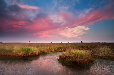 Dramatic pink sunset over bog Foto stock