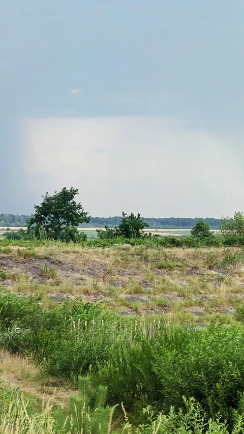 Dramatic Pre Storm Sky With Rain Wall Over Countryside Field Stock Footage 339621278