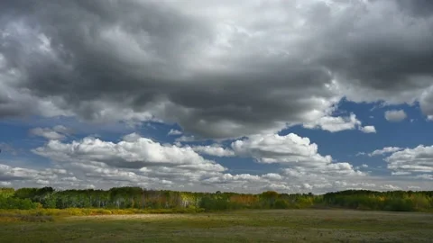 Dramatic puffy white clouds move above a forest and prairie landscape Stock Footage 161263192
