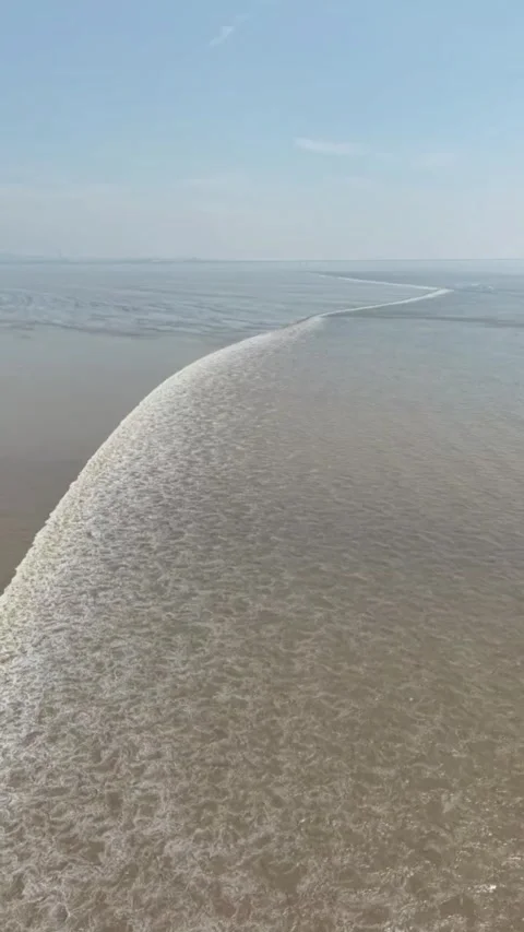 Dramatic Qiantang River Tidal Bore Waves Crashing on the Shore, Zhejiang, China Vídeos de archivo 337344426