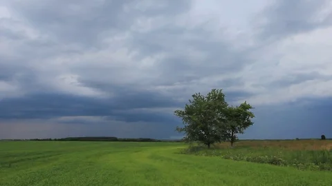 Dramatic rain clouds and lightning on sky above green cultivated field Vidéo 75655098