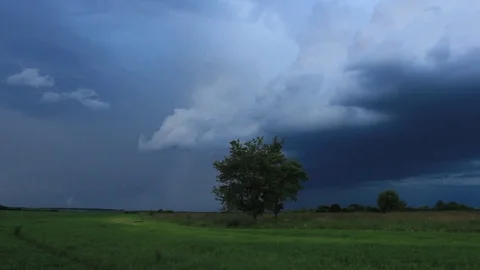 Dramatic rain clouds and lightning on sky above green cultivated field Stock Footage 75655474
