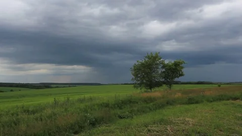 Dramatic rain clouds and lightning on sky above green grass field and two trees Stock Footage 75731994