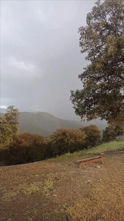 Dramatic Rain Storm and Clouds Over Mountain Forest Landscape Stock Footage 335576278