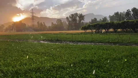 Dramatic Rainstorm and Sun Rays Over Rural Farmland at Sunset Stock Footage 339180122