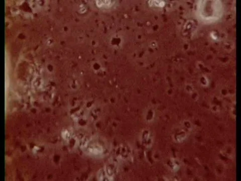 Dramatic re-enactments of historic bacteriologists Van Leeuwenhoek, Pasteur and Video stock 74733155