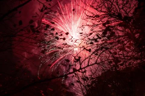 A dramatic red firework seen through the silhouette of winter trees Stock Photos