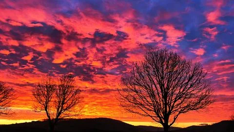 Dramatic red sky during early sunrise with clouds and lone tree Stock Photos
