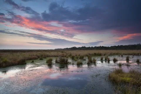 Dramatic red sunset over bog, Fochteloerveen, Netherlands 写真素材