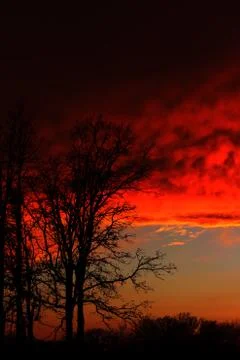 Dramatic red sunset Stock Photos