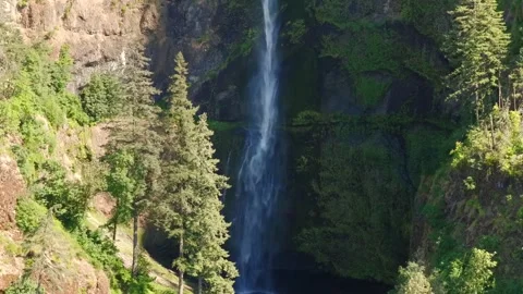 Dramatic Reveal of Big Oregon Waterfall Behind Trees  Stock Footage 313416389