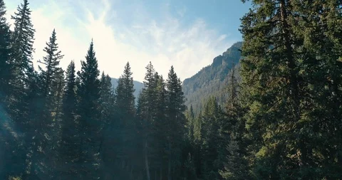 Dramatic Reveal Flying Above Gallatin Mountains 動画素材 105265224