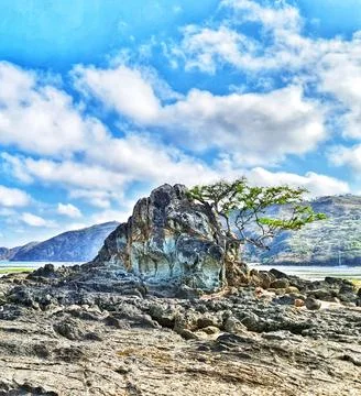 Dramatic rock formation with a small tree stands tall against a vivid blue sk Stock Photos