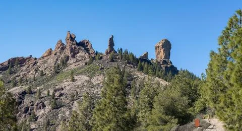 Dramatic rock formations and pine forest under clear sky Stock Photos